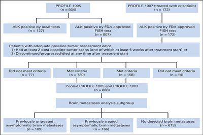 克唑替尼治疗晚期ALK重排非小细胞肺癌并发脑转移