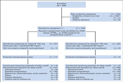 奥拉帕尼+紫杉醇对复发或转移性胃癌患者的疗效和耐受性：随机双盲II期试验