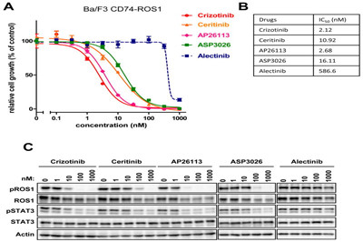 卡博替尼克服ROS1融合癌细胞系的克唑替尼耐药性