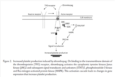 艾曲波帕治疗特发性血小板减少症紫癜的的药效