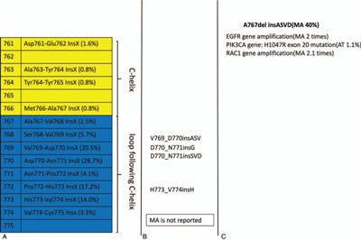 阿法替尼成功治疗EGFR外显子20-ins突变肺腺癌患者