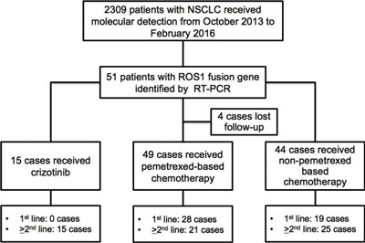 克唑替尼vs培美曲塞化疗在中国ROS1重排肺癌患者中的疗效