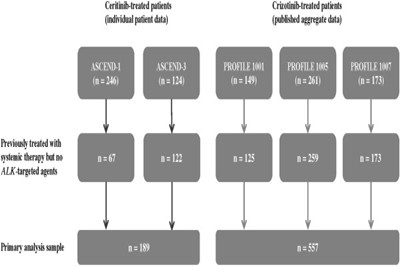 克唑替尼vs色瑞替尼作为经治晚期肺癌初始ALK靶向治疗的疗效：外部对照