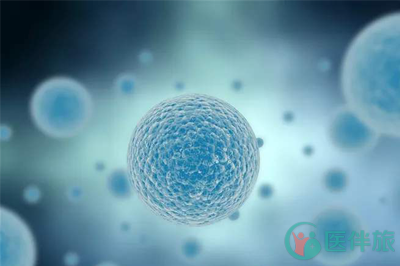 维奈托克中国上市没？