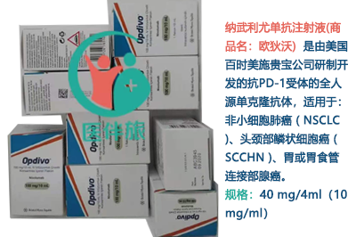 百时美施贵宝的纳武单抗在国内上市了吗？