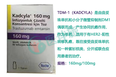 瑞士罗氏生产的乳腺癌治疗药T-DM1哪里有？