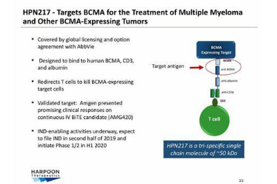 FDA授予HPN217孤儿药称号用于多发性骨髓瘤