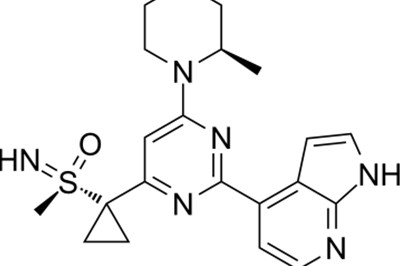 抗PD-L1治疗后Ceralasertib/德瓦鲁单抗联合治疗对NSCLC有效