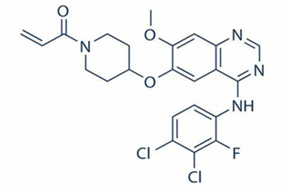 FDA授予波齐替尼治疗HER2外显子20突变非小细胞肺癌的快速通道资格认定