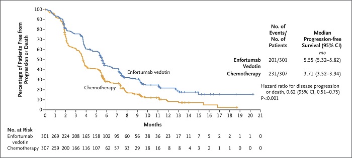 enfortumab vedotin组