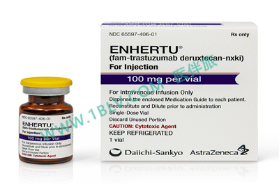 fam-trastuzumab deruxtecan-nxki（Enhertu）