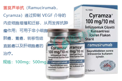 雷莫芦单抗+多西他赛用于含铂化疗期间或化疗后病情恶化转移性非小细胞肺癌