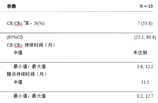 表2：初治 BPDCN 患者的疗效指标