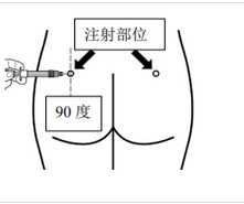 步骤8